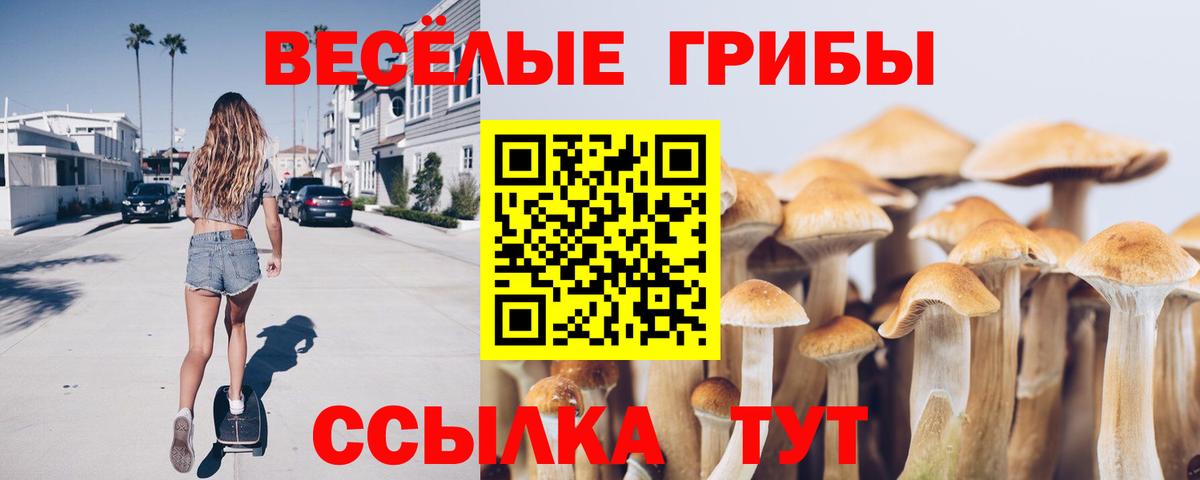 Псилоцибиновые грибы Cubensis  Вход с VPN  Костомукша 
